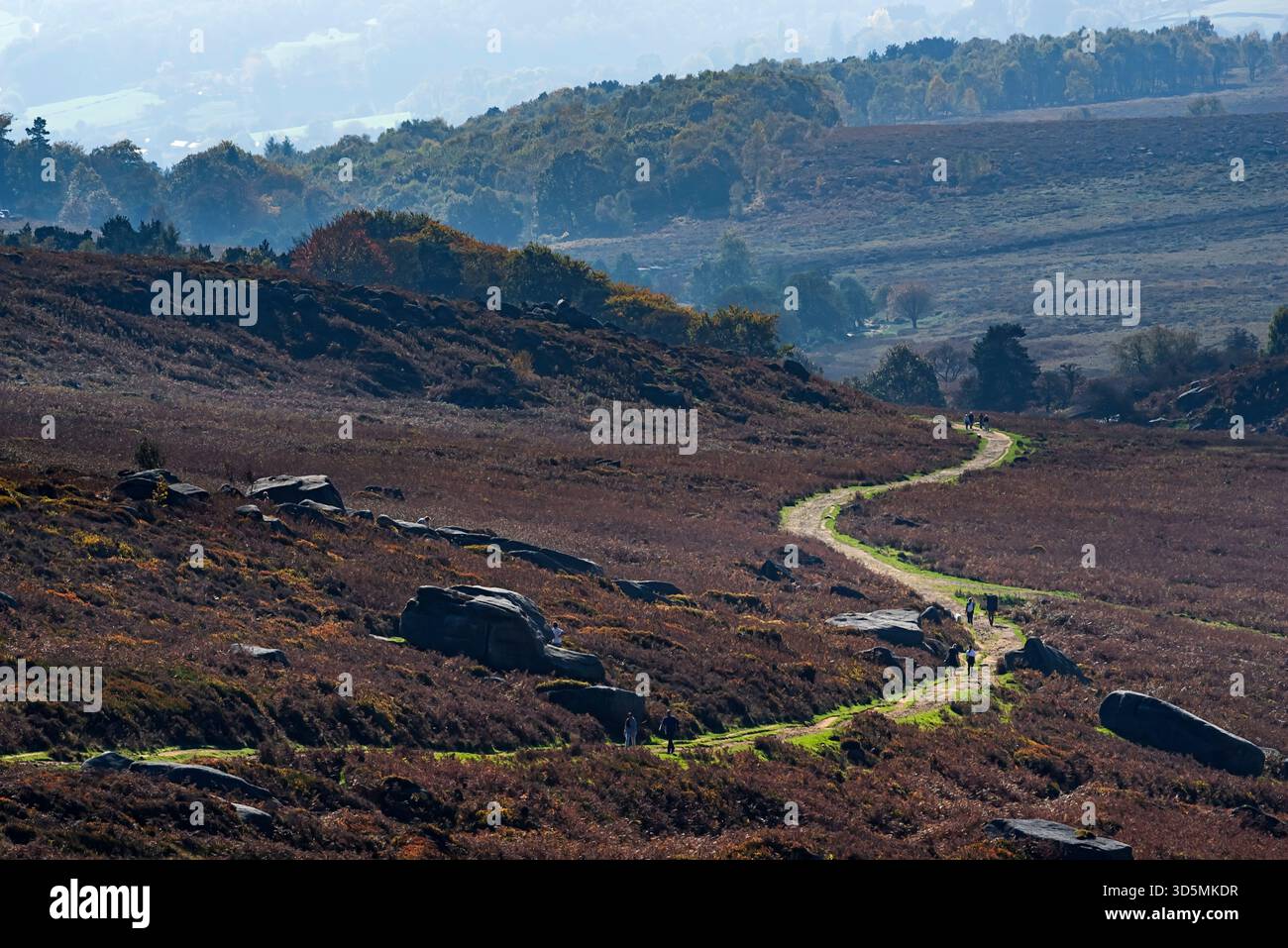 Fußweg zum Toad's Mouth und Padley Gorge vom Stanage Edge, Peak District Stockfoto