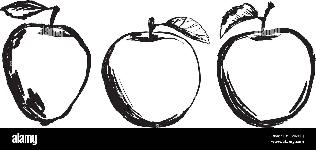 Handgezeichnetes Apfeltrio in Tusche, einfache monochrome Linie mit drei Äpfeln mit Blattdetails, ideal für Verpackung, Etikett, Menü, Satz von handgezeichneten Schwarz-weiß-Vektor-Illustrationen im Stil von Line Art. Stock Vektor