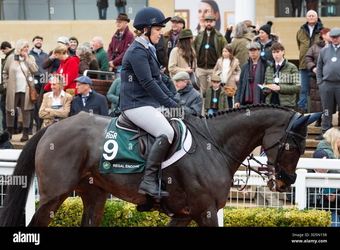 Regal Encore und der Fahrer Suzy Stoneman nehmen an der Umschulung der Rennpferdeparade in Cheltenham, 15.11.25 teil. Credit JTW equine Images / Alamy. Stockfoto