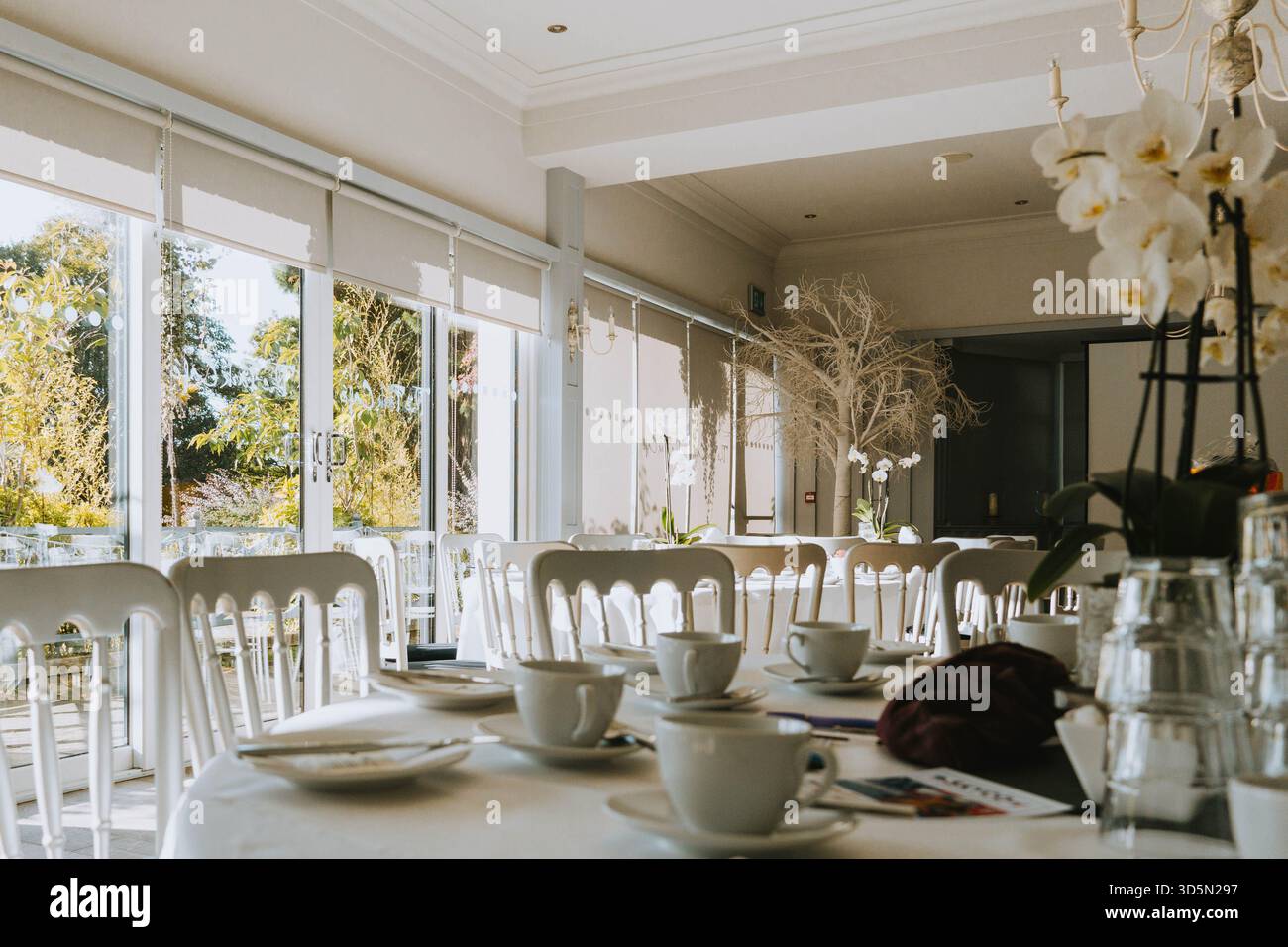 Elegante Einrichtung im Innenraum für Hochzeitsempfänge oder formelle Veranstaltungen mit weißen Stühlen, Tischen und großen Gartenfenstern Stockfoto