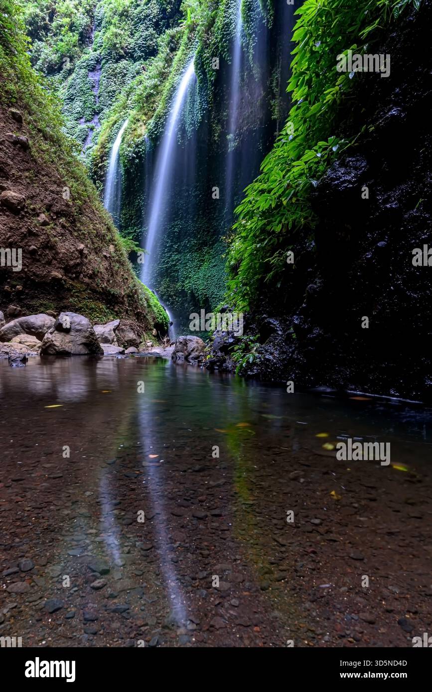 Der Madakaripura Waterfall (Probolinggo) ist der höchste Wasserfall im Deep Forest in Ost-Java, Indonesien. Der Wasserfall befindet sich in Bromo Tengger Semeru Nat Stockfoto