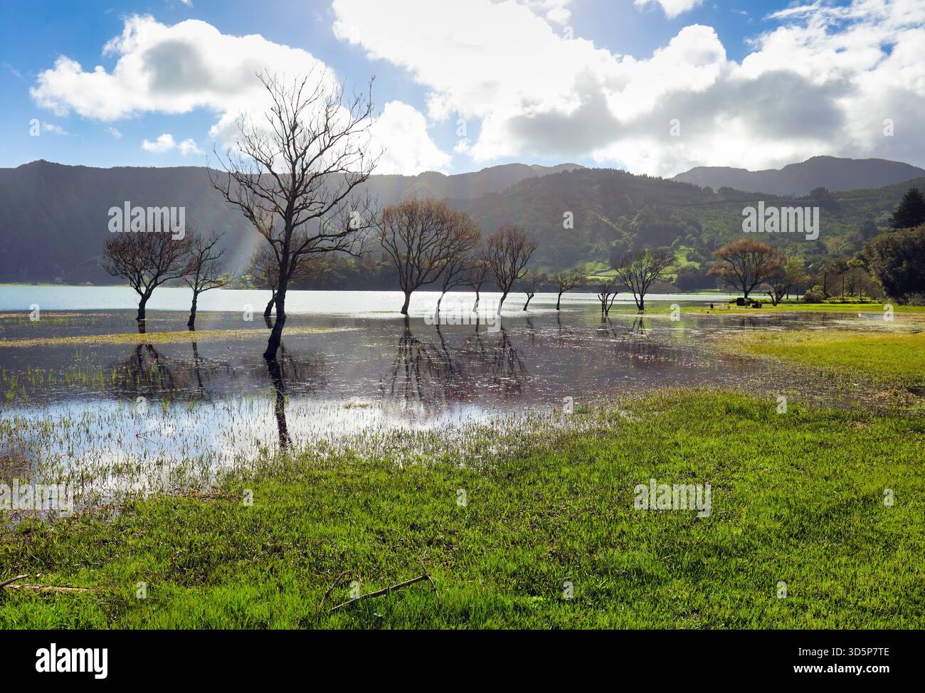 Azoren See von Sete Cidades mit Baum im Wasser reflektiert und Sonne, auf der Insel Sao Miguel, Portugal Landschaft Stockfoto