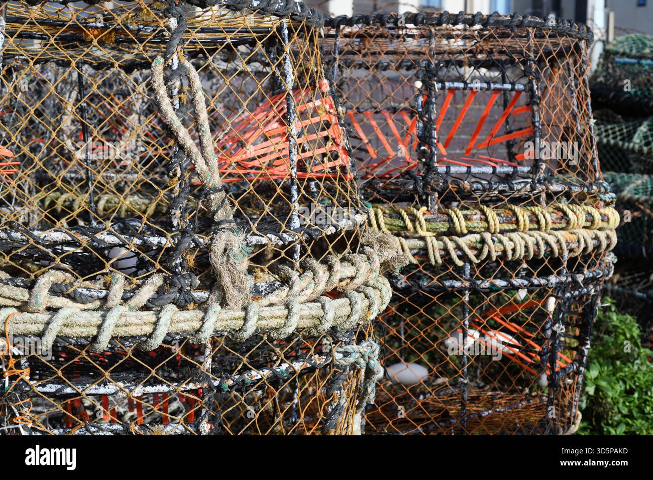 Krabben- und Hummer-Töpfe am Strand Stockfoto