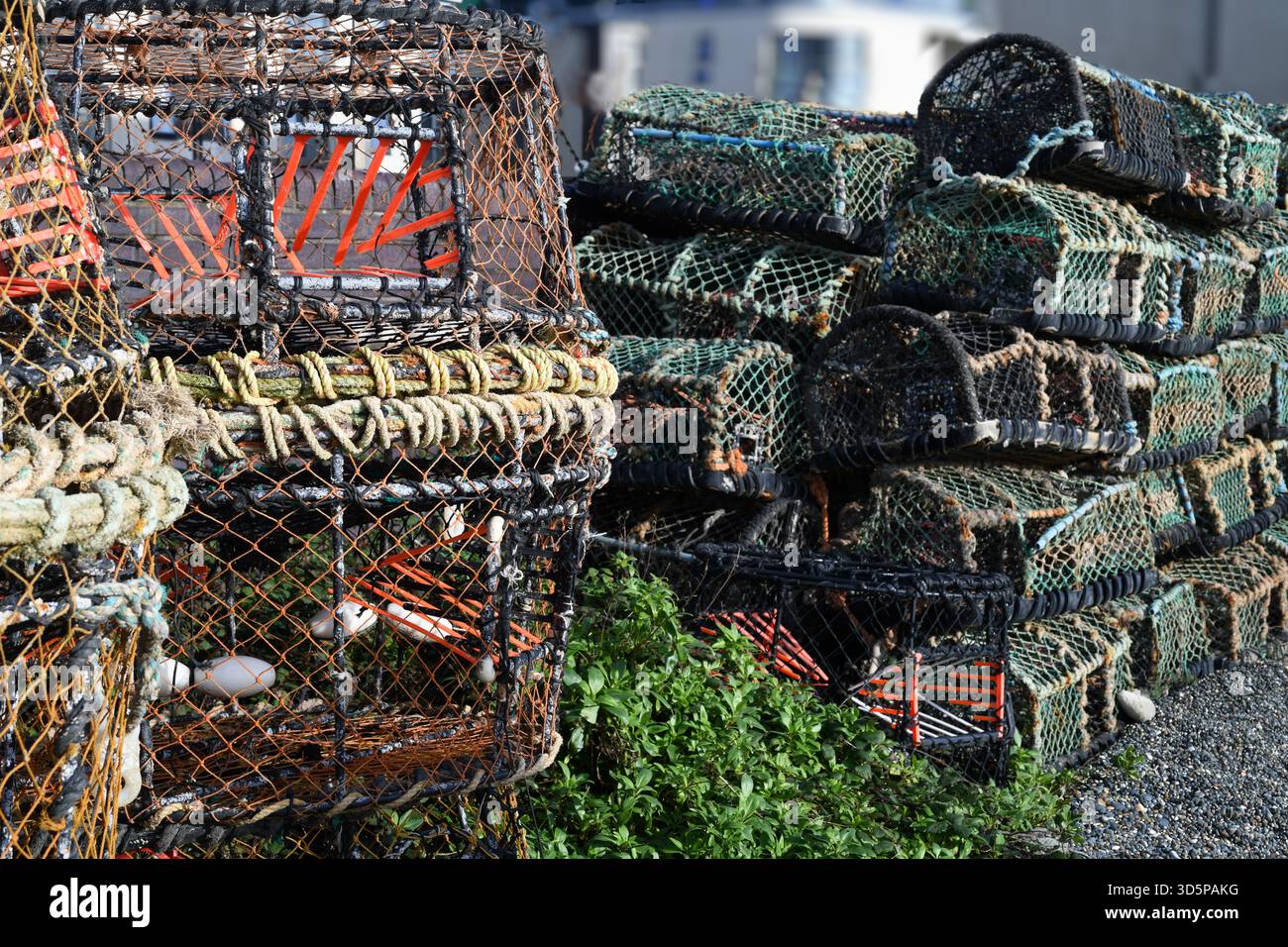 Krabben- und Hummer-Töpfe am Strand Stockfoto
