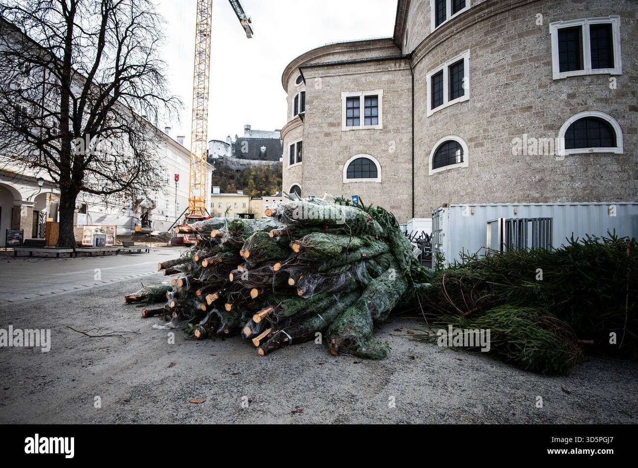 Aufbauarbeiten und Aufbau des Salzburger Christkindlmarktes am Residenzplatz und Domplatz am 11.11.2025. Im Bild: Christbäume // Bauarbeiten und Aufbau des Salzburger Weihnachtsmarktes am Residenzplatz und Domplatz am 11. November 2025. - 20251111_PD20458 Stockfoto