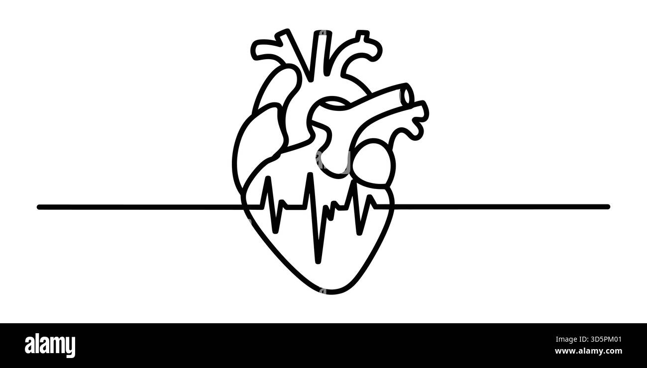Menschliches Herzliniensymbol mit Elektrokardiogramm, medizinischer Gesundheit und Kardiologie. Stock Vektor