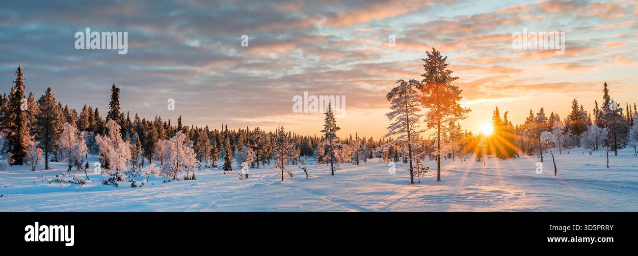 Panoramablick verschneite winterliche Landschaft bei Sonnenuntergang, gefrorene Bäume im Winter in Saariselka, Lappland, Finnland Webbanner Stockfoto