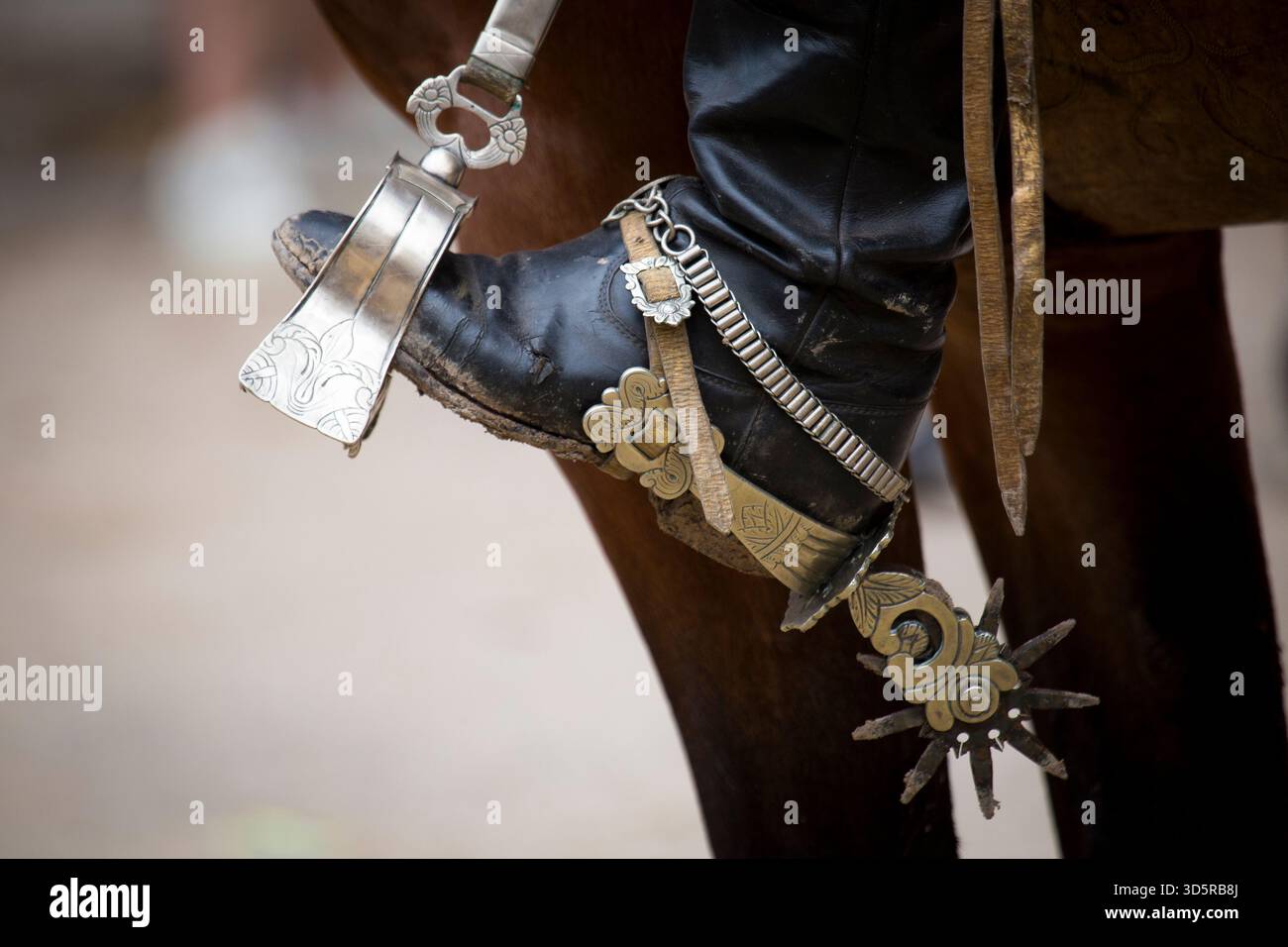 Das 86. Traditionsfest in San Antonio de Areco, Argentinien, vom 14. Bis 16. November 2025 umfasst Live-Musik, traditionelle Tänze, Volksmusik, Paraden und andere Aktivitäten im Gaucho-Stil. (Foto: Catriel Gallucci Bordoni/NurPhoto)0 Credit: NurPhoto SRL/Alamy Live News Stockfoto