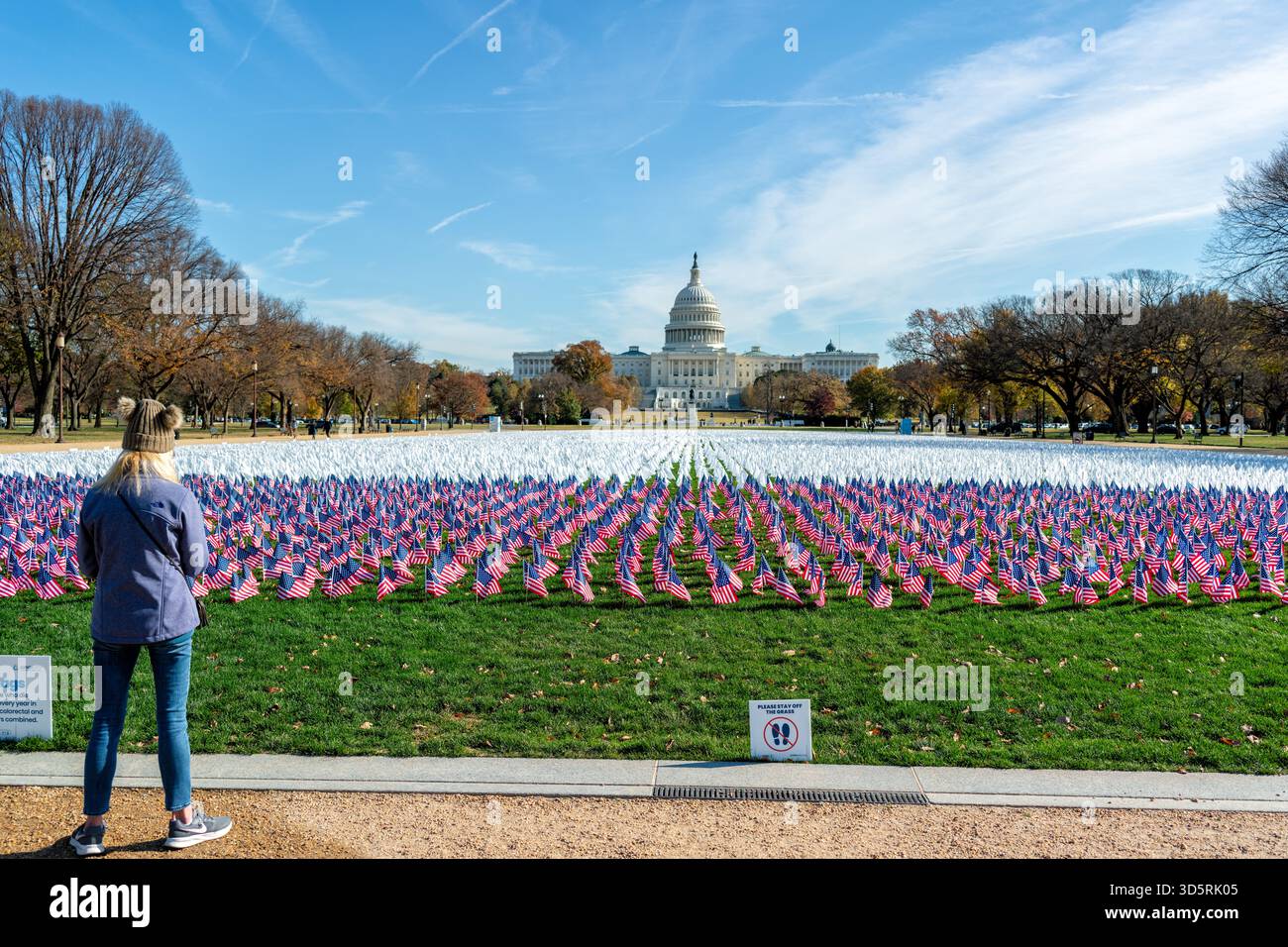 LUNGevity Foundation Flaggeninstallation National Mall Washington DC | WASHINGTON DC — Die Flaggeninstallation der LUNGevity Foundation zum Lungenkrebs-Bewusstseinsmonat auf der National Mall zeigt 60.000 weiße Fahnen, die die 120.000 jährlichen Lungenkrebstodesfälle in den USA repräsentieren. Amerikanische Flaggen ehren auch die 5.000 Veteranen, die jährlich an Lungenkrebs sterben, mit dem US-Kapitol im Hintergrund. Dieses kraftvolle Denkmal setzt sich für erneute Bundesinvestitionen in die Früherkennung, Forschung und gerechten Zugang zur Versorgung ein. Lungenkrebs ist die führende Todesursache durch Krebs im Land, die Darm- und Pankreas- Stockfoto