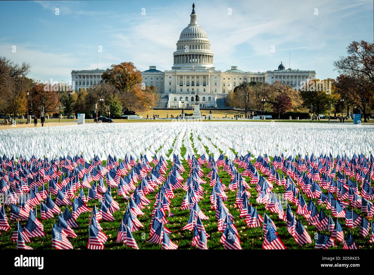 LUNGevity Foundation White Flags Installation National Mall Washington DC | WASHINGTON DC — Die White Flags Installation der LUNGevity Foundation auf der National Mall zeigt Tausende von Flaggen mit dem United States Capitol Building im Hintergrund. Dieses Denkmal, Teil des Lungenkrebs-Bewusstseinsmonats im November 2025, umfasst 60.000 weiße Flaggen, von denen jede zwei der 120.000 Amerikaner symbolisiert, die jährlich an Lungenkrebs sterben. Ein Abschnitt mit amerikanischen Flaggen ehrt die 5.000 US-Veteranen, die jedes Jahr an Lungenkrebs verloren gehen. Die Installation setzt sich für erneute Bundesinvestitionen in die frühe Erkennung ein, r Stockfoto