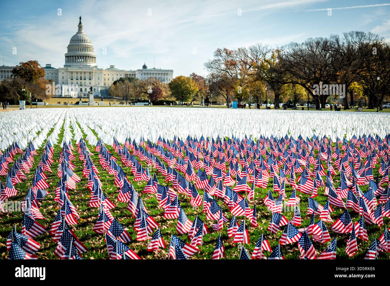 LUNGevity Foundation 60000 Flags Installation National Mall Washington DC | WASHINGTON DC — Die Installation der LUNGevity Foundation mit 60.000 weißen Flaggen und 5.000 amerikanischen Flaggen wird auf der National Mall ausgestellt. Im Rahmen des Lungenkrebs-Bewusstseinsmonats im November 2025 ehrt diese Ausstellung die 120.000 Amerikaner, die jedes Jahr an Lungenkrebs sterben. Die 5.000 amerikanischen Flaggen gedenken speziell der Veteranen, die durch die Krankheit verloren gegangen sind. Mit dem United States Capitol Building im Hintergrund dient die Ausstellung als Denkmal und Aufruf zu erneuten Bundesinvestitionen in die Früherkennung, Forschung und Gleichberechtigung Stockfoto