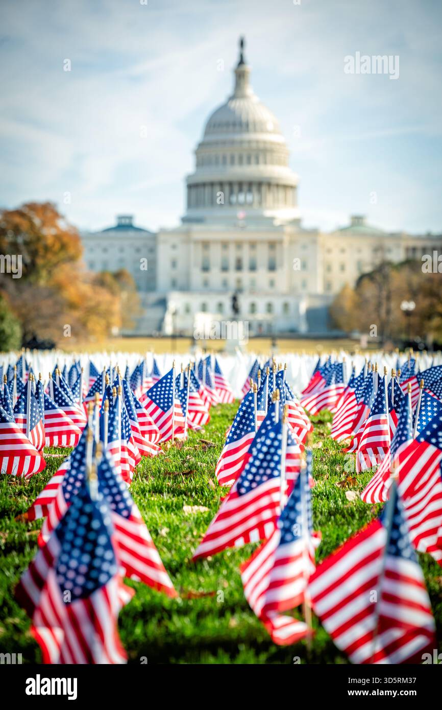 LUNGevity Foundation White Flags Installation National Mall Washington DC | WASHINGTON DC — Zahlreiche amerikanische Flaggen sind auf der National Mall gepflanzt, mit dem U.S. Capitol Building im Hintergrund. Diese Installation ist Teil einer LUNGevity Foundation Kampagne während des Lungenkrebs-Bewusstseinsmonats, um die 5.000 amerikanischen Veteranen zu ehren, die jährlich an Lungenkrebs sterben. LUNGevity arbeitet daran, die frühe Erkennung, die Forschungsfinanzierung und den gleichberechtigten Zugang zur Pflege für diejenigen voranzubringen, die von Lungenkrebs betroffen sind. Die National Mall ist ein bedeutender Nationalpark in Washington D.C., der zahlreiche Veranstaltungen und Denkmäler beherbergt. Stockfoto