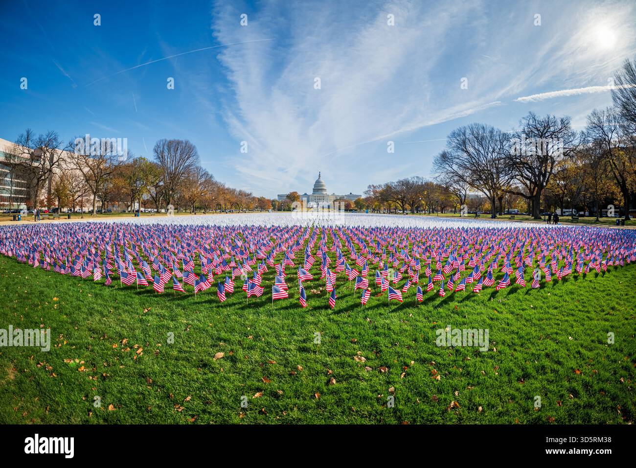LUNGevity Foundation 60000 Flags National Mall Washington DC | WASHINGTON DC — Die Kampagne des LUNGevity Foundation zum Lungenkrebsbewusstseinsmonat zeigt Tausende amerikanische und weiße Flaggen auf dem National Mall. Diese Installation umfasst 60.000 Flaggen, die die 120.000 Amerikaner repräsentieren, die jährlich an Lungenkrebs sterben, darunter 5.000 Veteranen. Lungenkrebs ist die führende Todesursache durch Krebs im Land und übertrifft Darm- und Bauchspeicheldrüsenkrebs zusammen. LUNGevity setzt sich für erneute Bundesinvestitionen in die Früherkennung, Forschung und gleichen Zugang zur Versorgung ein. Stockfoto