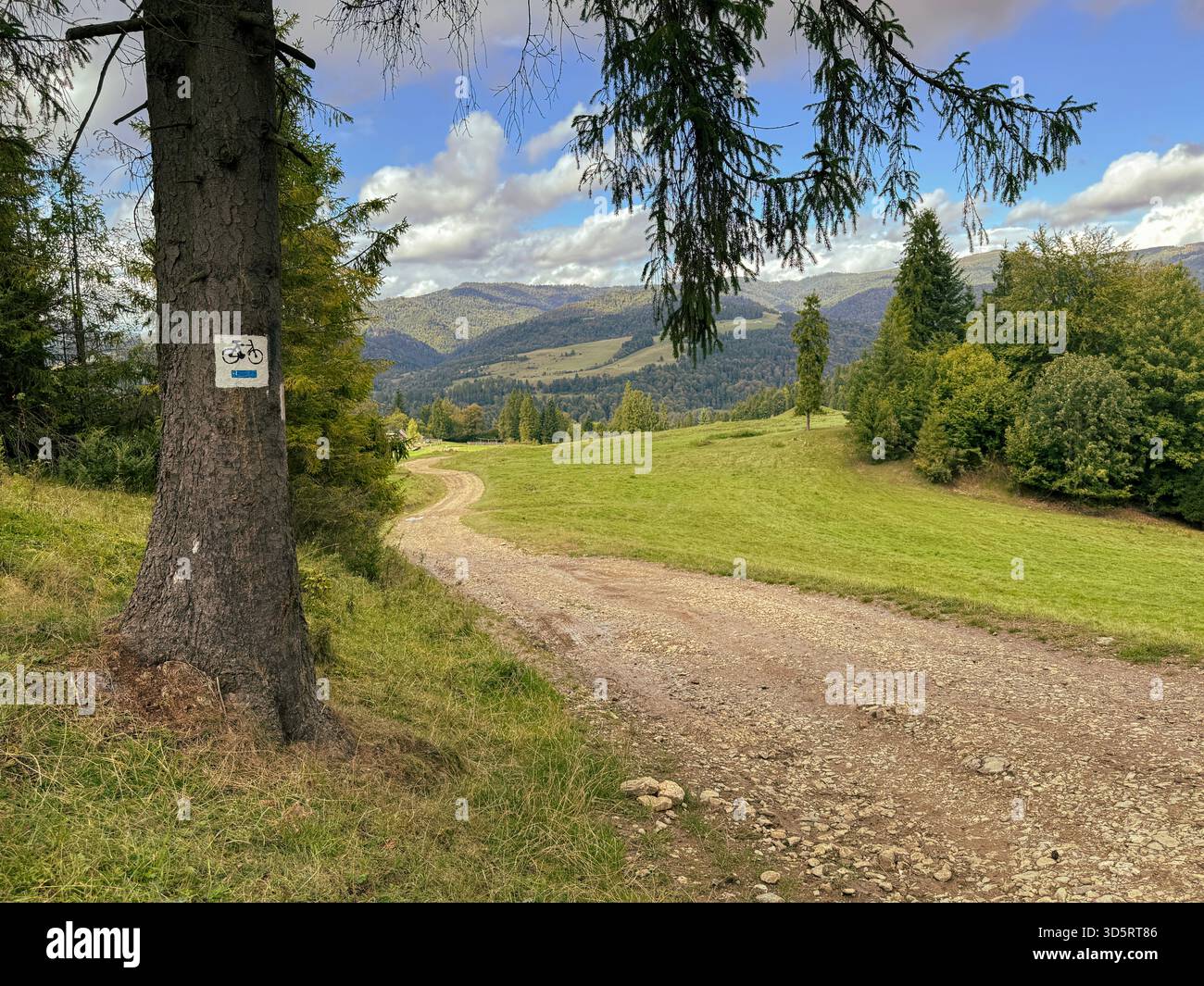Ein sonniger Hangpfad schlängelt sich durch Kiefern und Wiesen und enthüllt ferne Berge und blauen Himmel. Ideales Stockbild für Natur, Outdoor, Reisen, hik Stockfoto