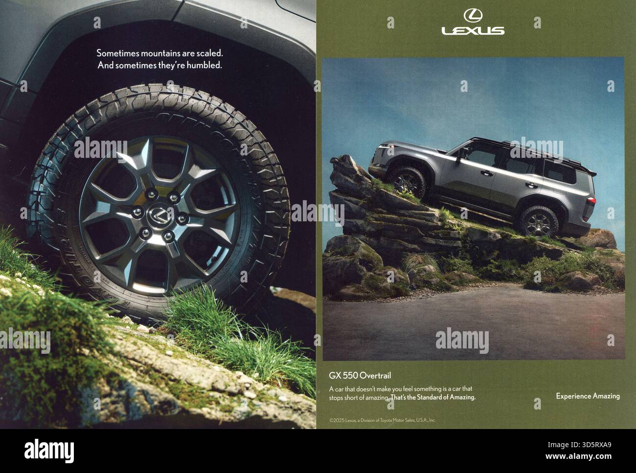 Cooking and Lifestyle Magazine, Ausgabe November 2025, USA Stockfoto