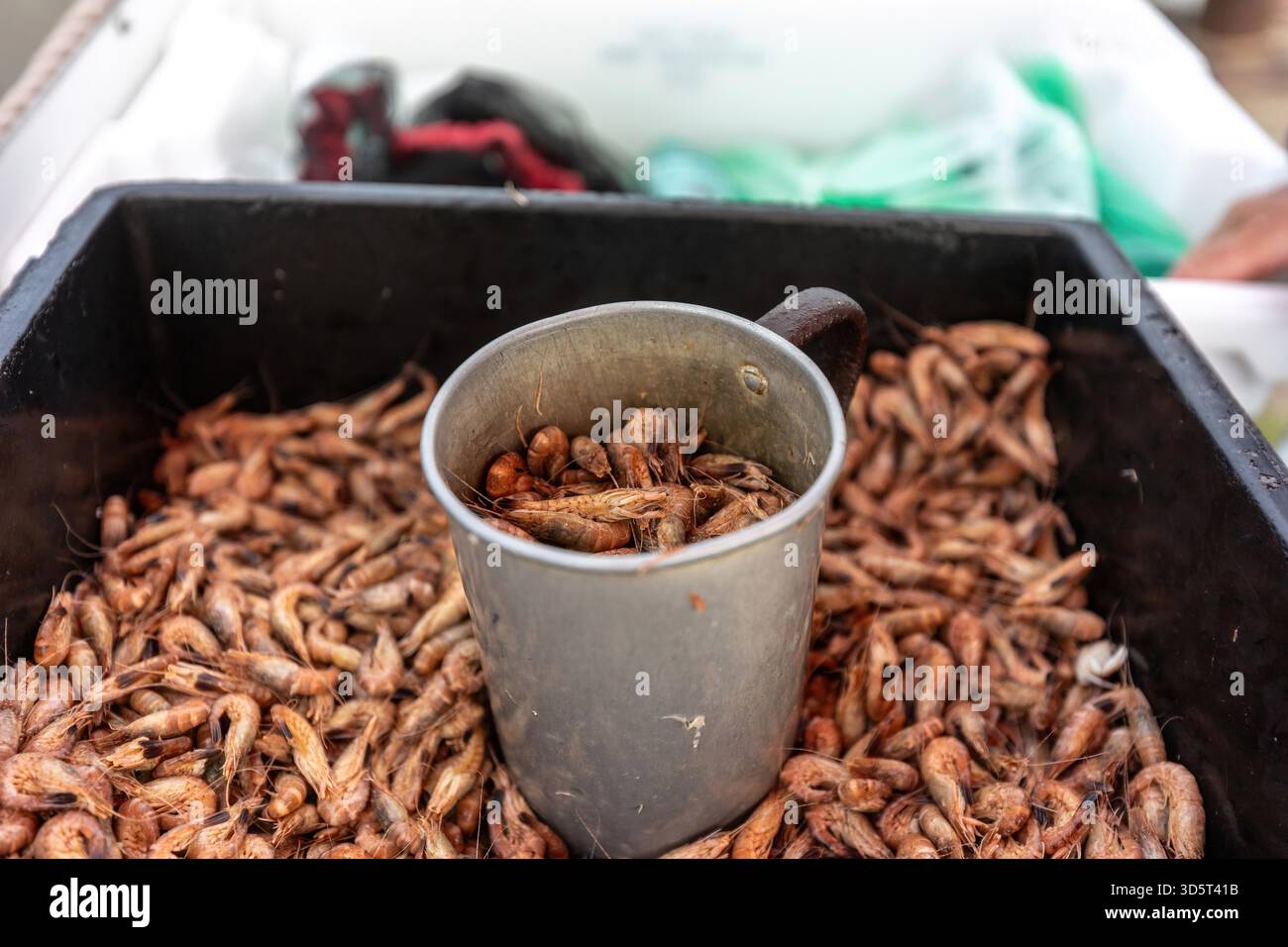 Frisch gefangene Nordseegarnelen in einem Metallbecher auf einem lokalen Fischmarkt. Das Bild zeigt die authentische Atmosphäre der Küstenfischerei und die Frische regionaler Meeresfrüchte. Stockfoto