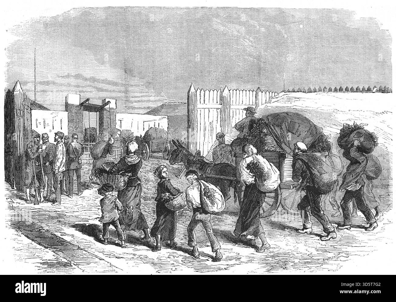 Gemüse aus den Vororten während der Belagerung von Paris, während des Deutsch-Französischen Krieges Stockfoto