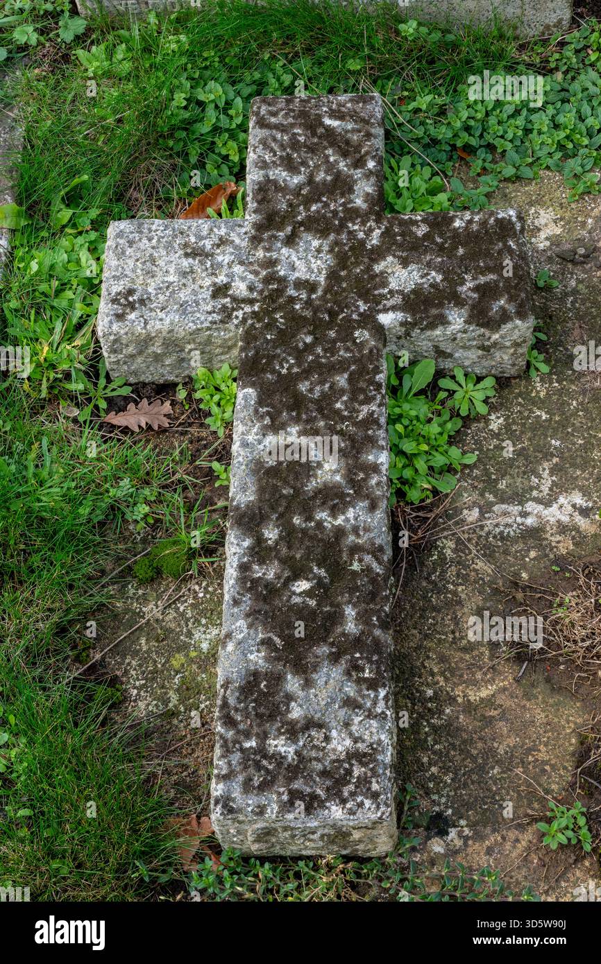 Großes, mit Moos bedecktes Steinkreuz auf einem Grabmal oder Grab auf einem historischen Friedhof oder Friedhof. Religiöses symbolisches Steinkreuz auf Friedhof oder Friedhof. Stockfoto