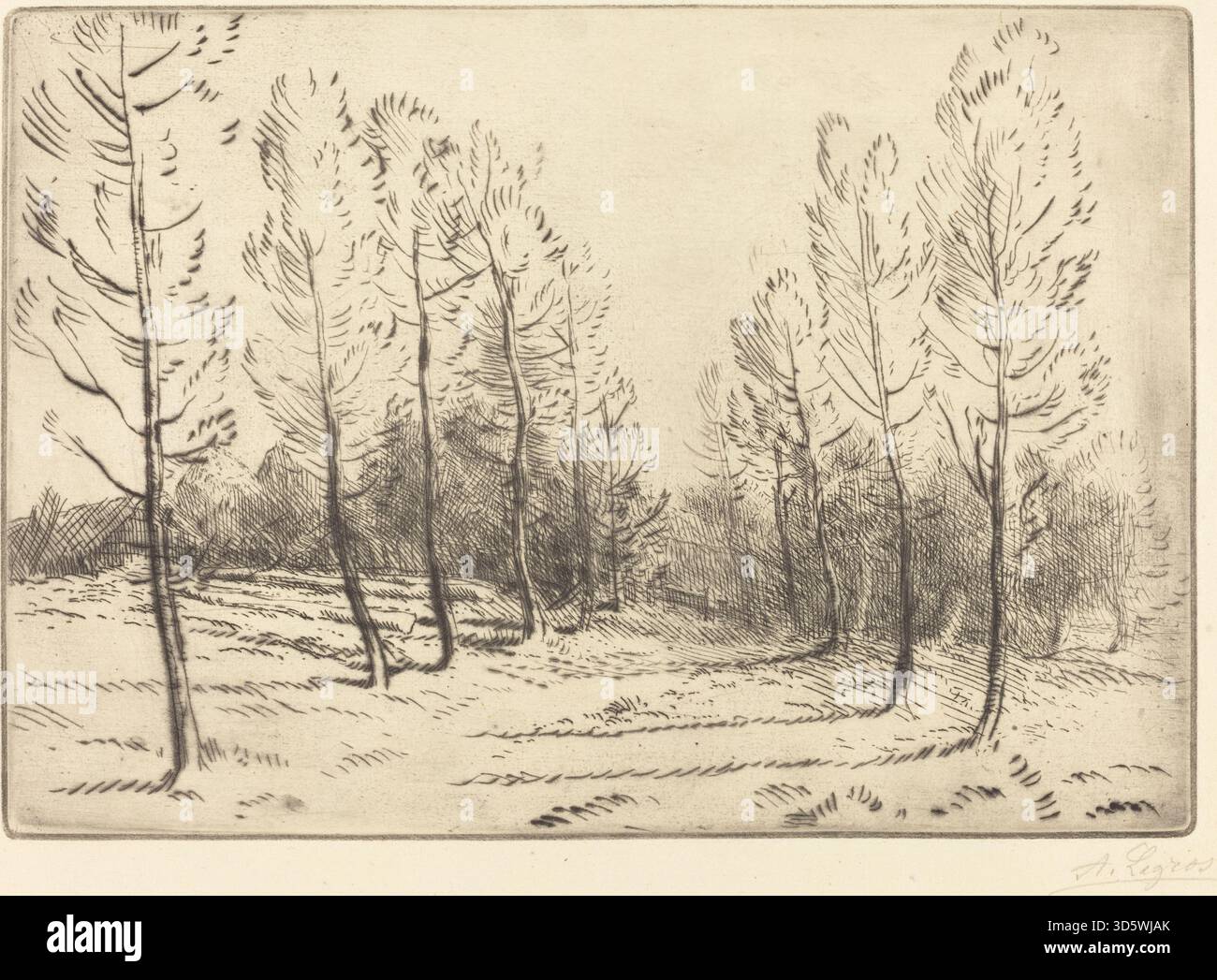 Eine Landschaftsätzung von Alphonse Legros, die die Avenue der Pappeln darstellt. Das Kunstwerk zeigt eine von Bäumen gesäumte Allee mit linearer Perspektive und detaillierter Darstellung von Laub und Weg. Stockfoto