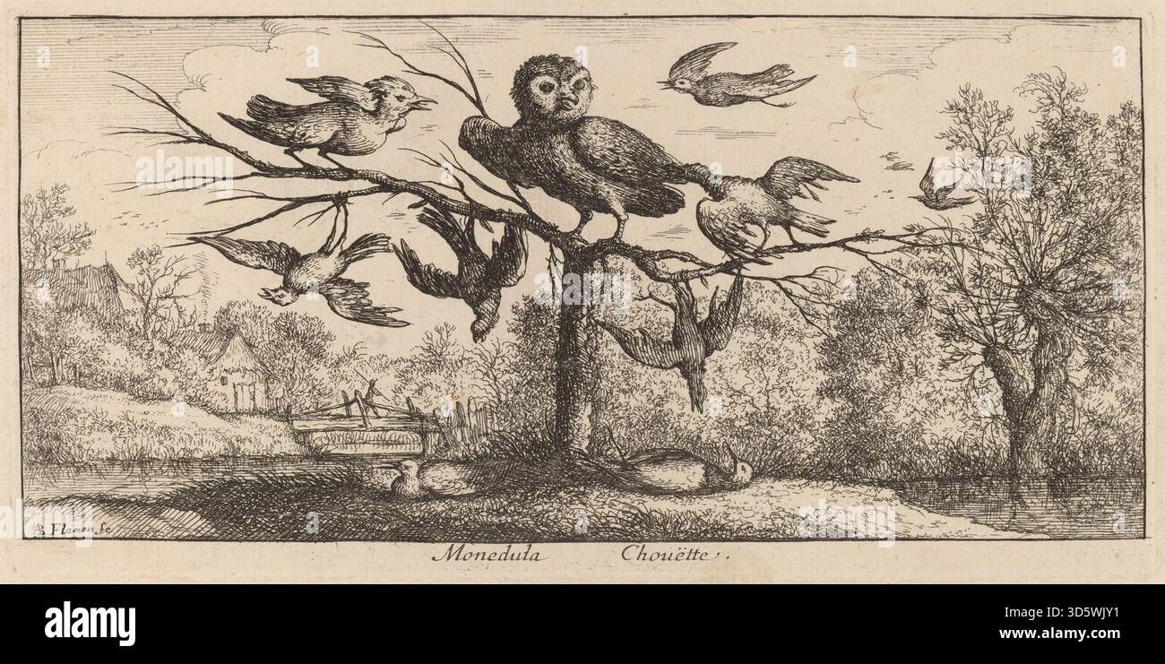 Dieser Druck von Albert Flamen aus seiner Serie Livre d’Oyseaux zeigt eine große Eule auf einem toten Baumstamm in einer Landschaft mit sichtbaren Häusern im Hintergrund, umgeben von kleineren Vögeln, die sie angreifen oder von den Ästen fallen. British Museum+2The Metropolitan Museum of Art+2 Stockfoto