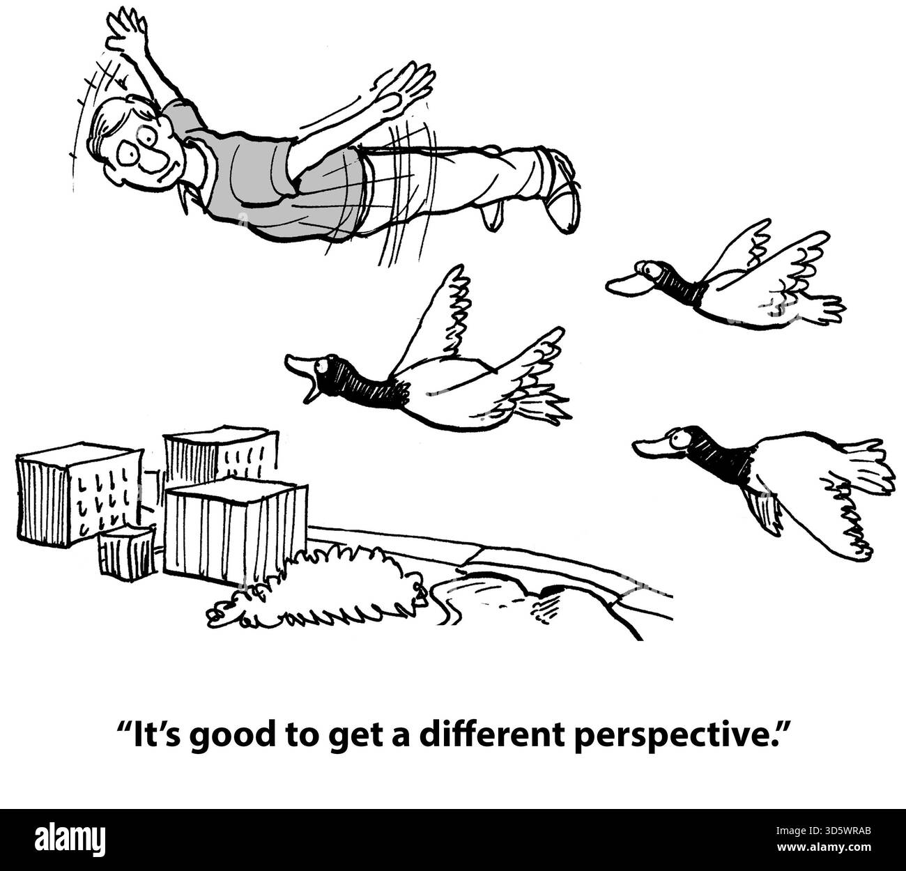 Wilde Gänse haben gerne eine andere Perspektive, indem sie fliegen. Stockfoto