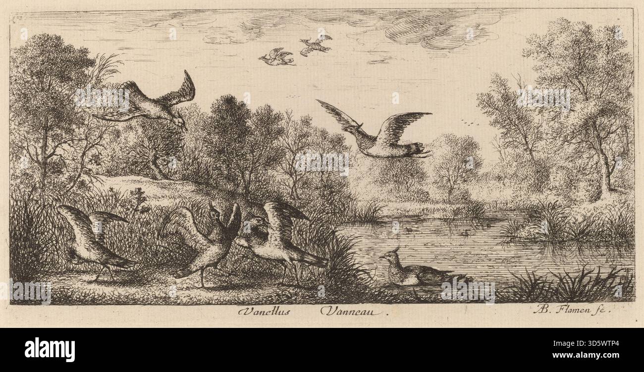 In dieser Gravur von Albert Flamen aus seiner Serie Livre d’Oyseaux der Lapwing (Vanellus) ist er mit einem erhöhten Wappen und markanten Mustern dargestellt, die für seine Vogeldrucke aus der Mitte des 17. Jahrhunderts charakteristisch sind. Stockfoto