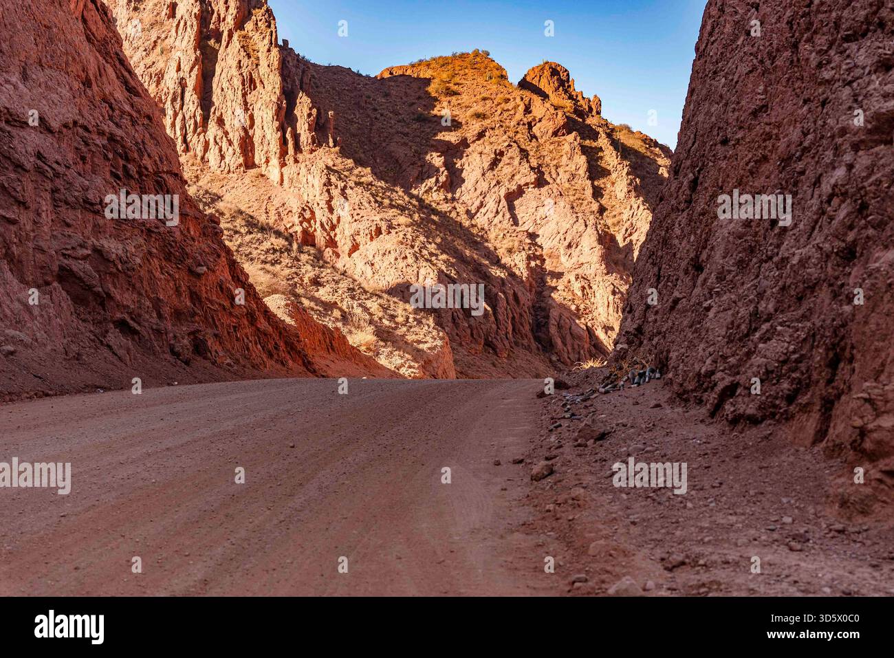 Eine unbefestigte Straße schlängelt sich durch einen dramatischen roten Felsschlucht in Bolivien Stockfoto