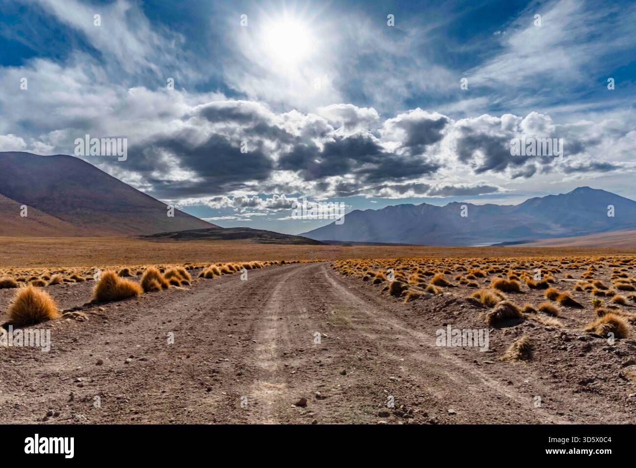 Unbefestigte Straße durch die trockene Landschaft des Andenaltiplano unter einem dramatischen Himmel, mit Bergen und karger Wüstenvegetation – Südamerika Stockfoto