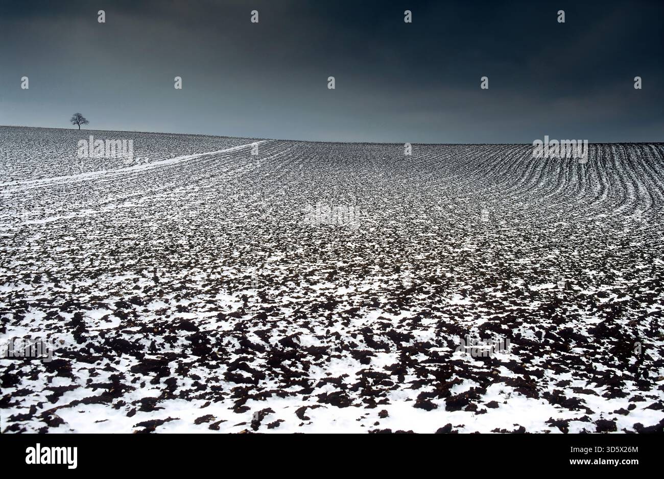 Ein großes, gepflügtes Feld in der Auvergne, Frankreich, ist im Winter nur teilweise mit Schnee bedeckt. Puy de Dome. Auvergne Rhone Alpes. Frankreich Stockfoto