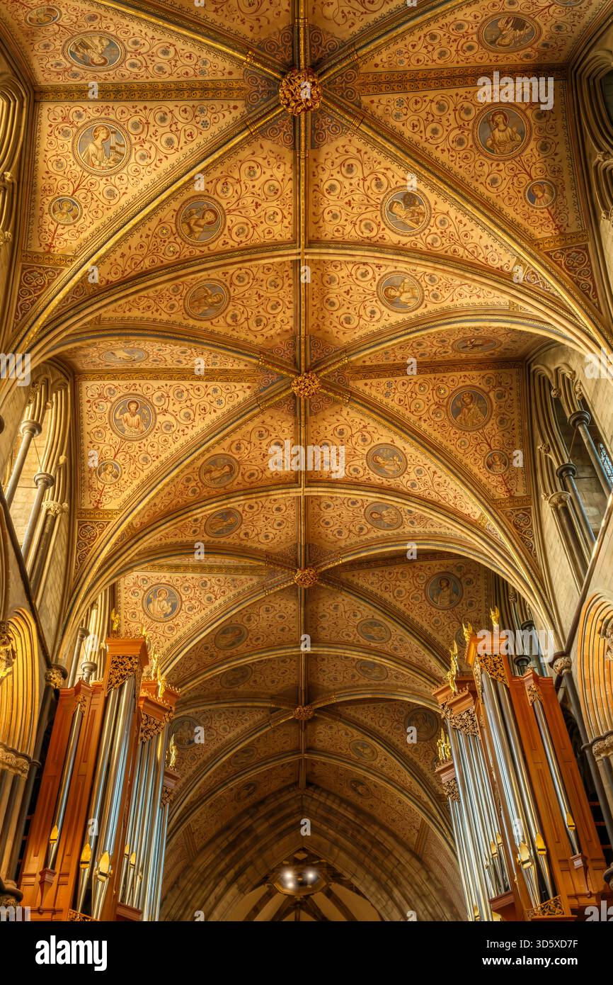 Worcester, Worcestershire - die wunderschöne gewölbte Decke an der Kathedrale von Worcester. Worcester Cathedral, formell die Cathedral Church of Christ and BLE Stockfoto