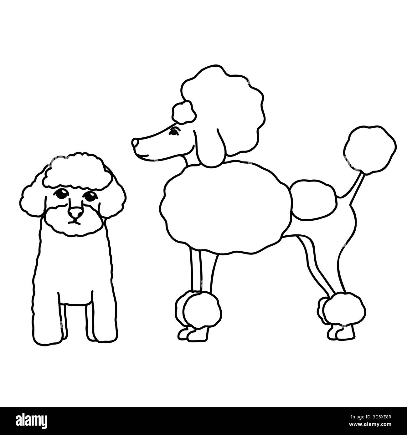 Hand gezeichnete Vektor-Doodle Set mit süßen Maltipoo und Pudelhunden Stock Vektor