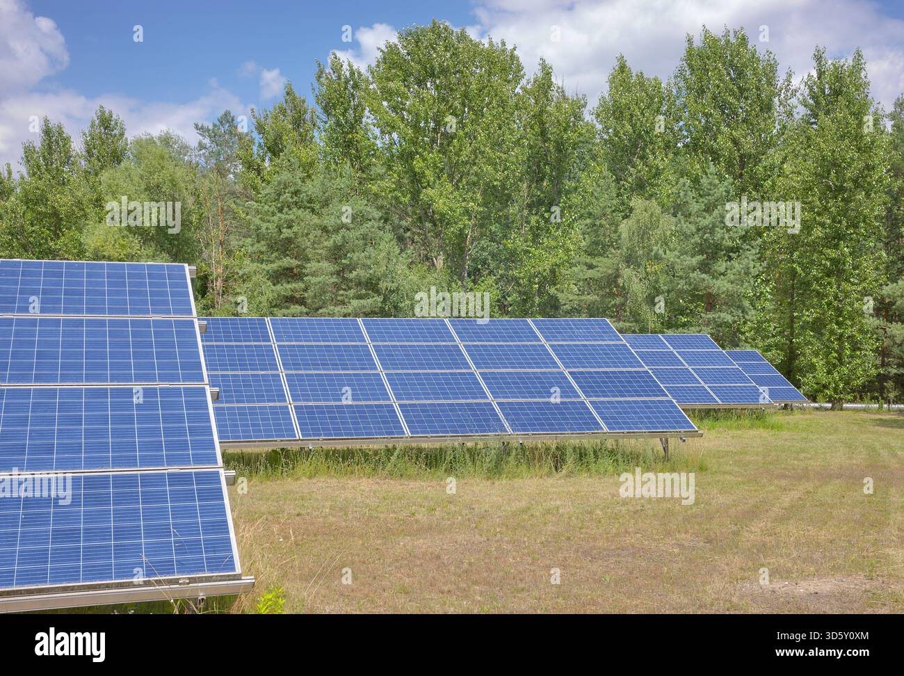Foto von Photovoltaikpaneelen in einem Feld. Stockfoto