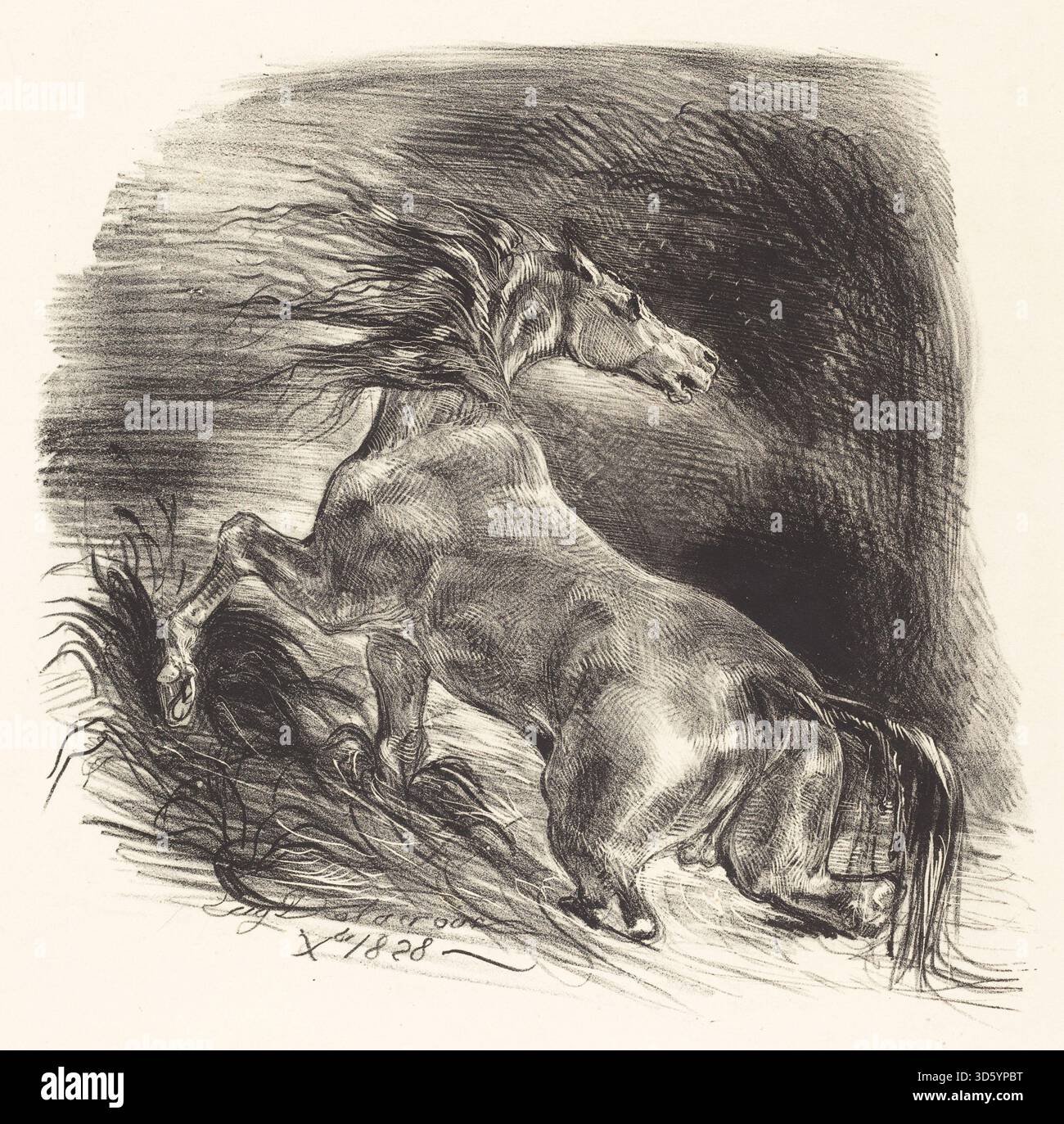 Ein Gemälde von Eugène Delacroix, das ein wildes Pferd zeigt, das aus einem Gewässer auftaucht und die Bewegungen des Tieres, die muskulöse Form und die nasse Mähne in dynamischen Details festlegt. Das Werk ist ein Beispiel für romantische Kunst, die natürliche Energie und dramatische Komposition betont. Stockfoto