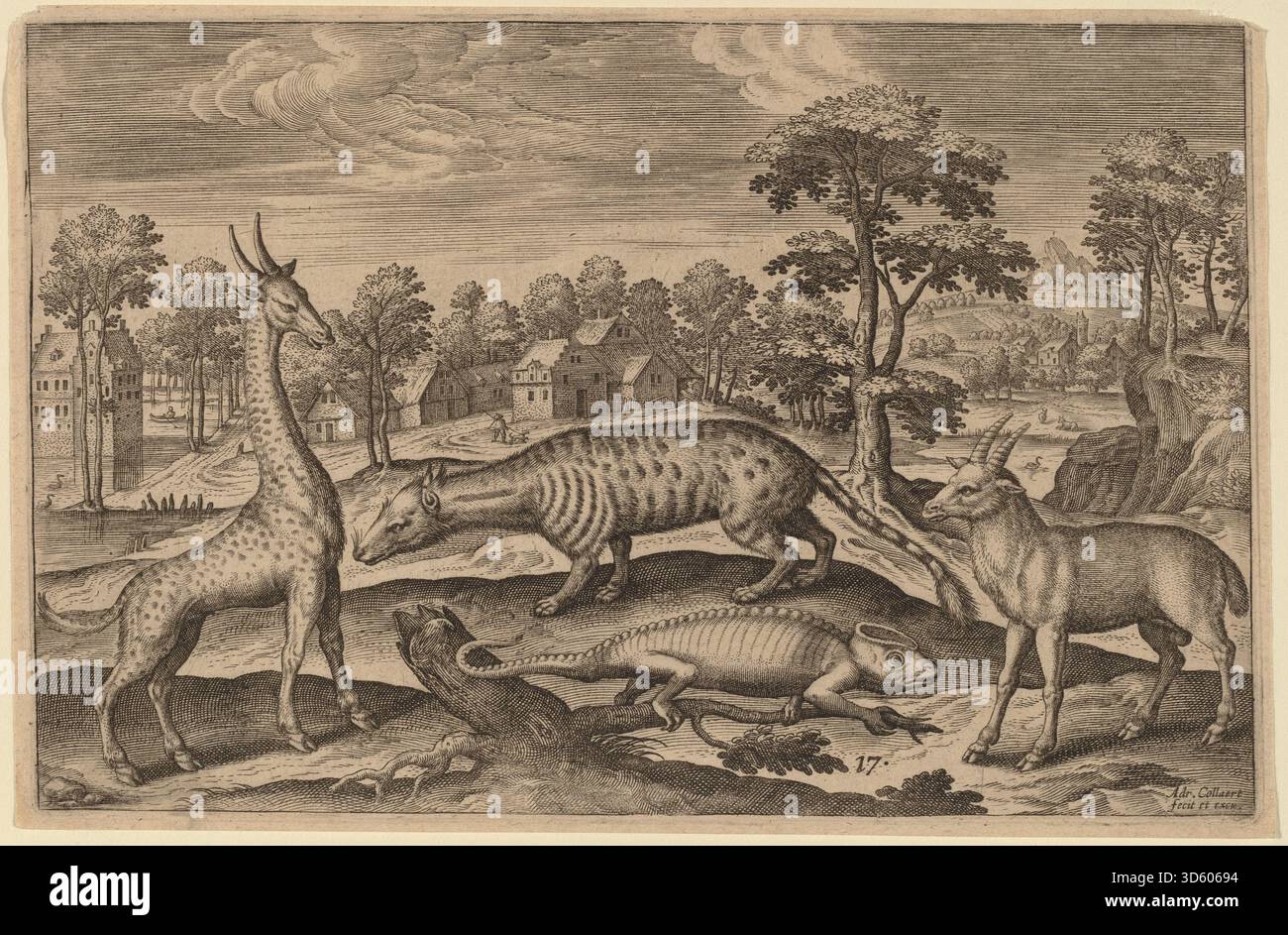 Adriaen Collaerts Gravur zeigt vierbeinige Tiere mit genauen anatomischen Merkmalen, naturalistischen Posen und detaillierter Beobachtung. Der Druck spiegelt frühmoderne Studien über Säugetierformen wider. Stockfoto