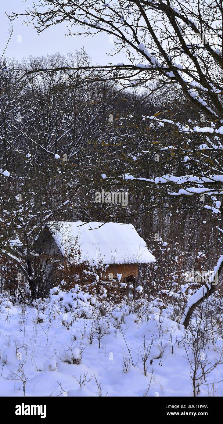 Weihnachten. Holzhaus im Wald im Winter, Nahaufnahme des Fotos. Stockfoto