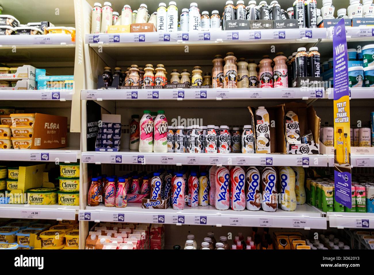 London UK, 16. November 2025, Auswahl an Milchshakes mit hohem Eiweißgehalt und Schokoladengeschmack Stockfoto