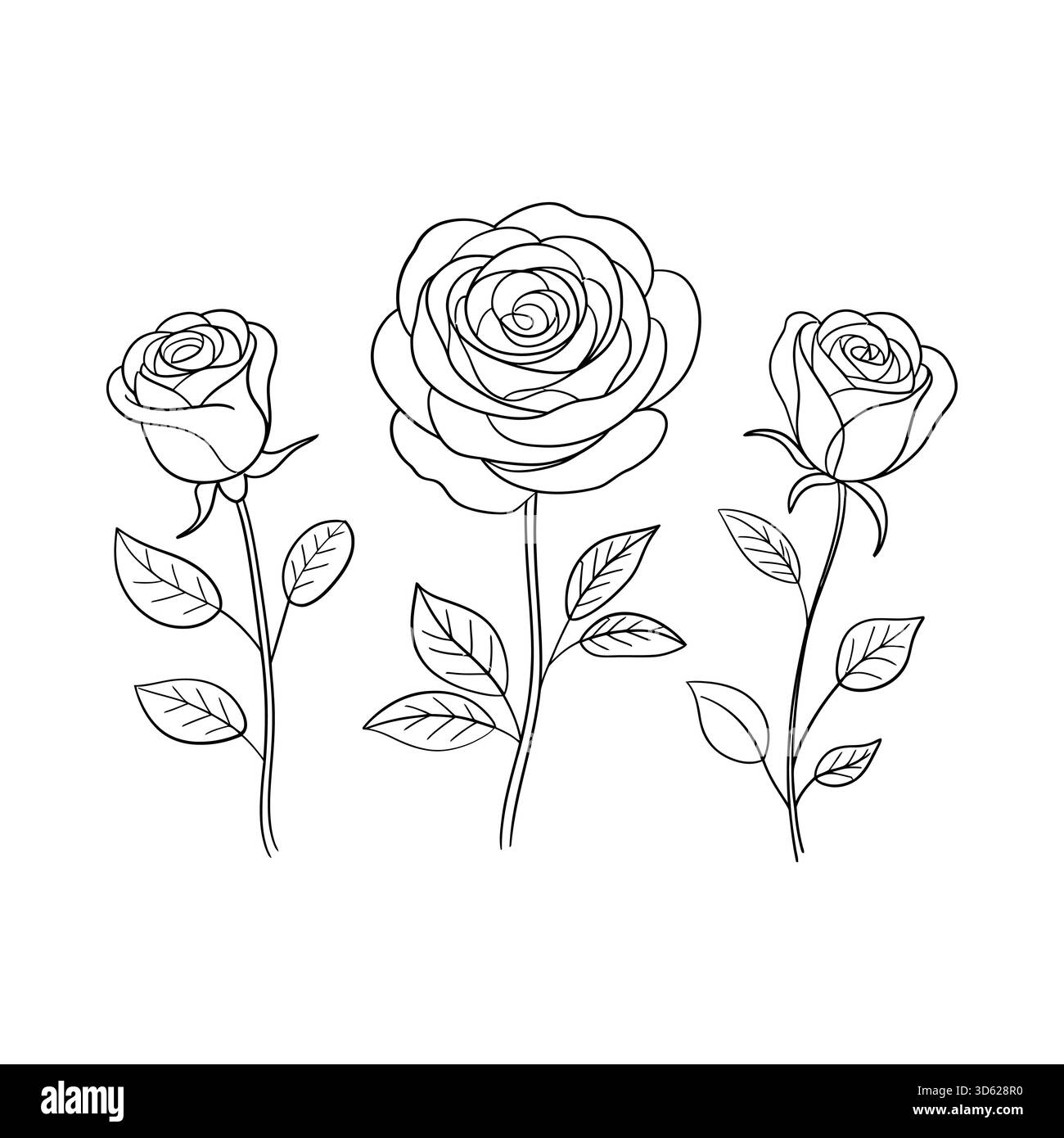 Drei zarte Linien-Art-Rosen mit Stielen und Blättern werden in einer einfachen, künstlerischen Komposition vor weißem Hintergrund präsentiert. Stock Vektor