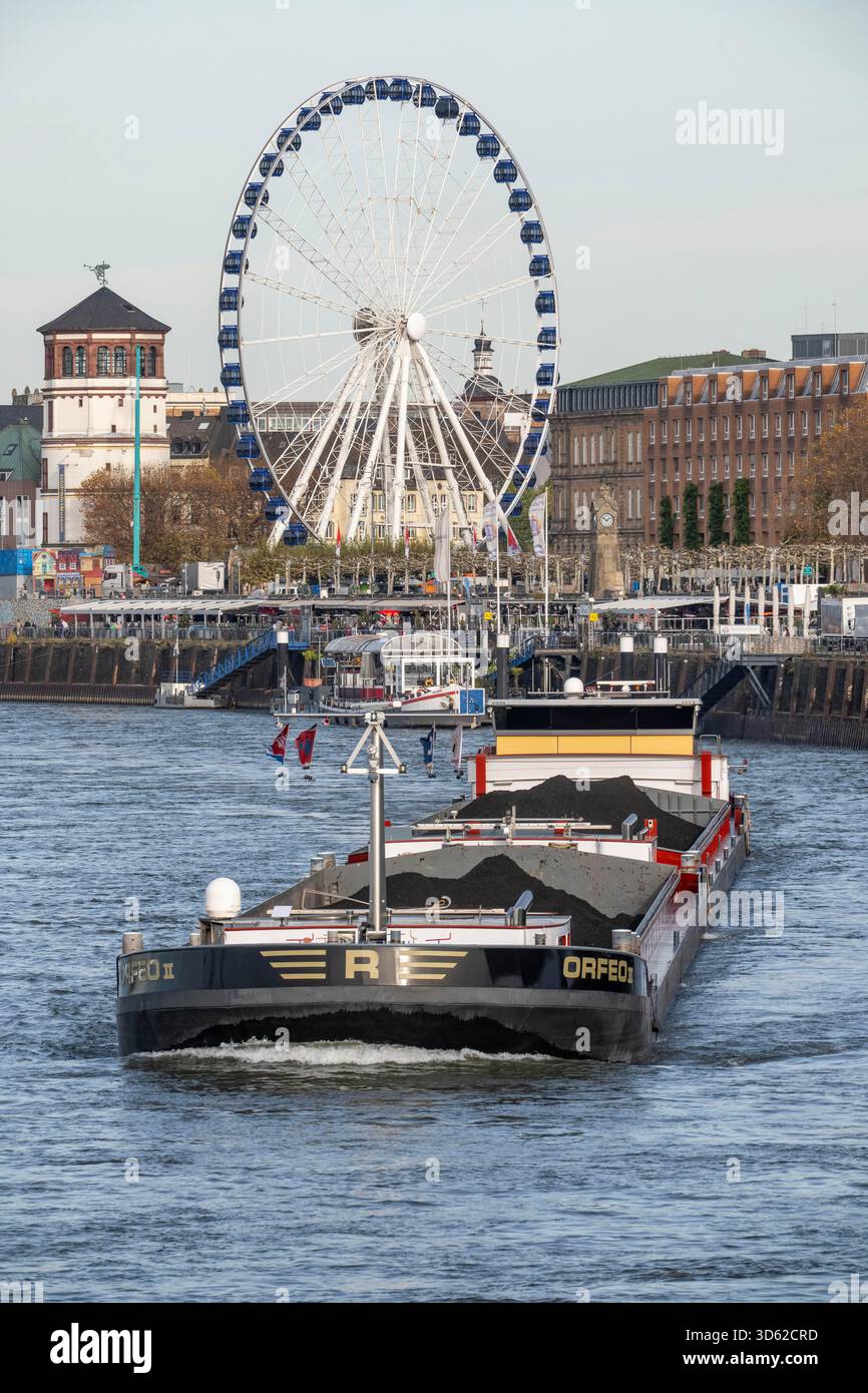 Das niederländische Frachtschiff Orfeo transportiert Kraftwerkskohle von den Niederlanden nach Mannheim, hier am Rhein bei Düsseldorf, mit der Altstadt A Stockfoto