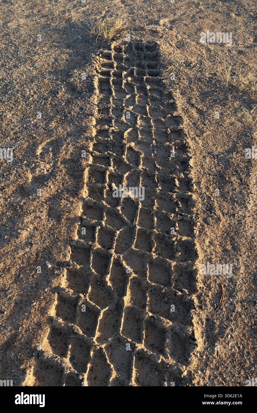 Lkw-Reifenspuren auf einem Sandstrand Stockfoto