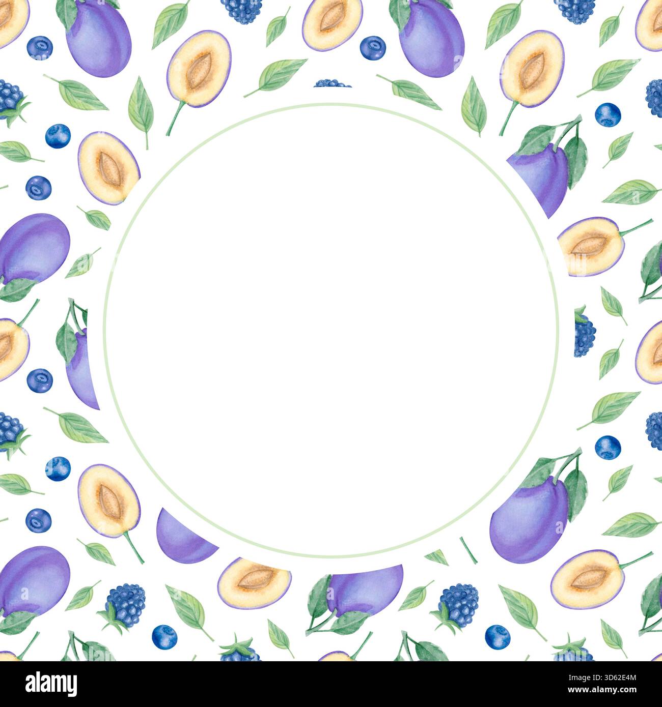 Rahmen aus Pflaumen und brombeeren in Aquarellfarben, runder botanischer Rand Stockfoto