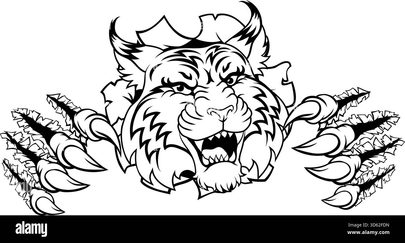 Wildcat Bobcat Sports Team Cartoon Tiermaskottchen Stock Vektor