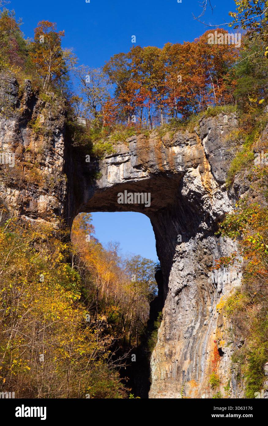 Herbstszene der Natural Bridge, einer natürlichen Kalksteinformation in Virginia USA Stockfoto
