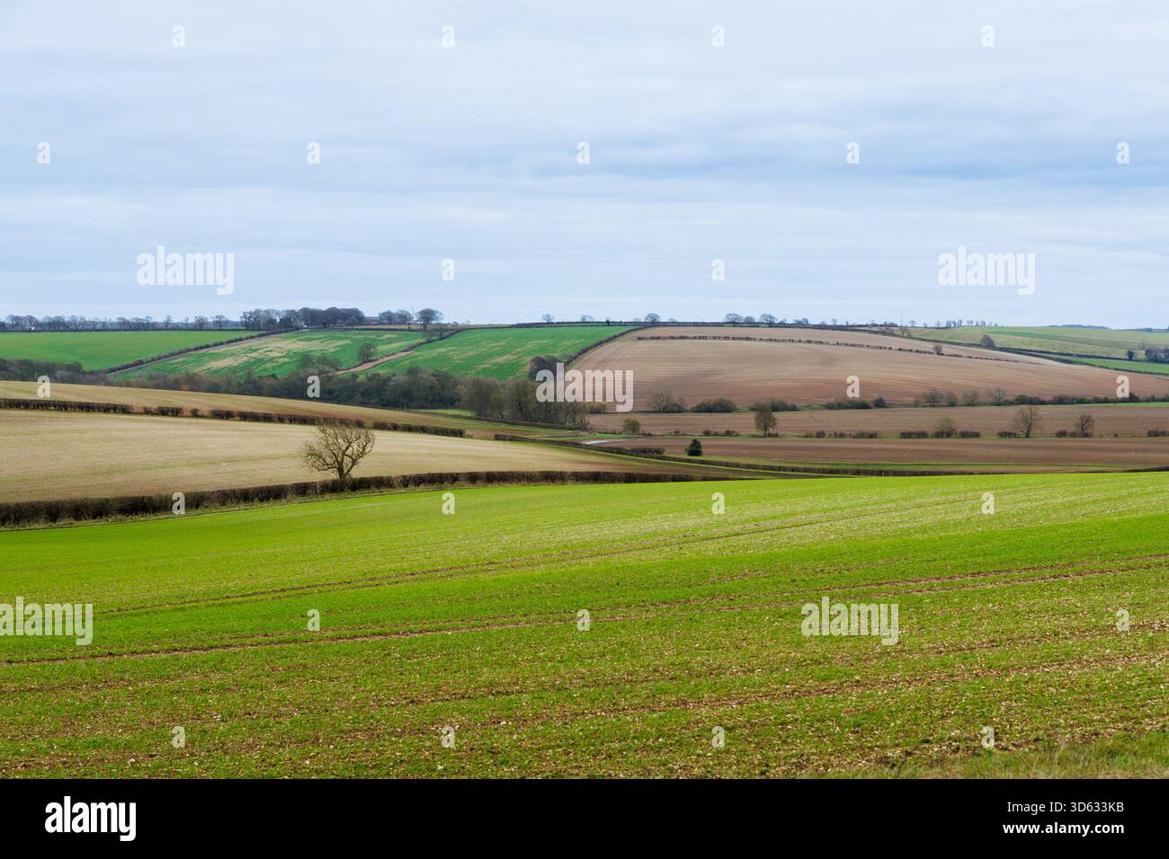Ein Blick auf die Lincolnshire Wolds in der Nähe von Stainton le Vale im Herzen von Lincolnshire. Das Foto wurde im November aufgenommen und blickte über die sanften Hügel, die Besucher aus der ganzen Welt anlocken. Stockfoto
