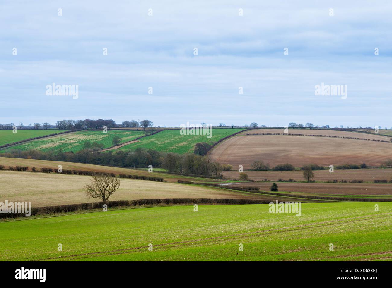 Ein Blick auf die Lincolnshire Wolds in der Nähe von Stainton le Vale im Herzen von Lincolnshire. Das Foto wurde im November aufgenommen und blickte über die sanften Hügel, die Besucher aus der ganzen Welt anlocken. Stockfoto