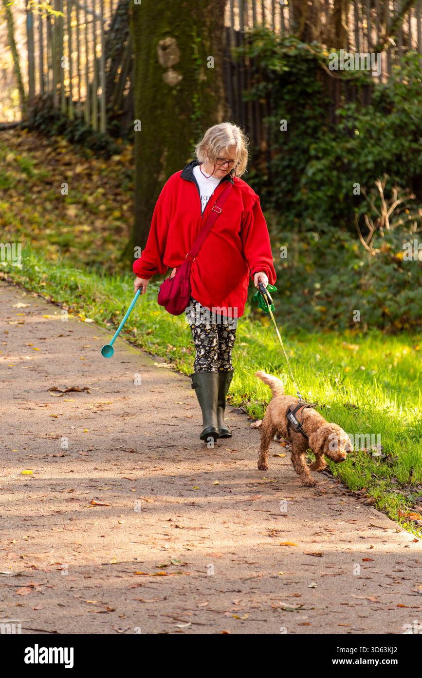 Frau Wanderhund im Bute Park Cardiff mit Ballwerfer und Kacksäcken am Herbsttag, aktive Haustierbesitzer trainieren Hund in urbaner Parklandschaft Stockfoto