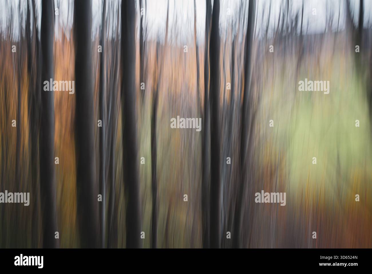 Herbst Stockfoto
