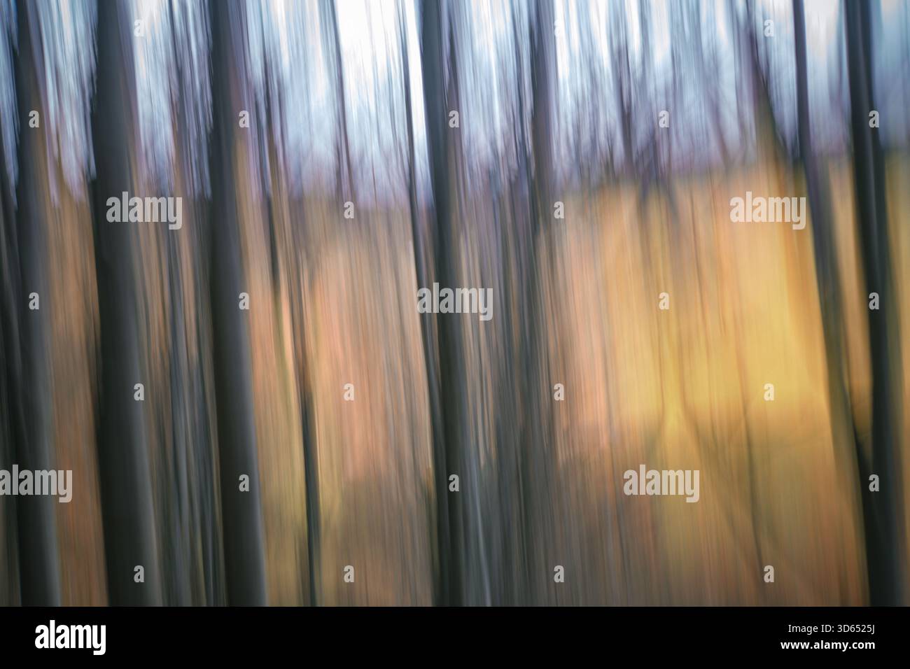 Herbst Stockfoto