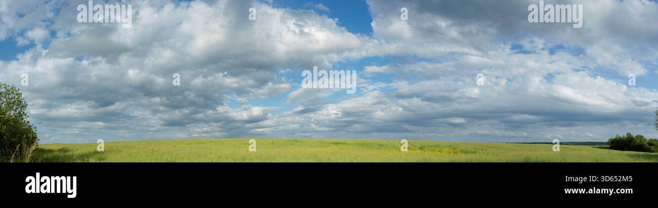 Große Rapsfelder im zentralen Teil der Ukraine. Panorama der Landschaft im agroindustriellen Sektor blühender Rapssamen. Stockfoto