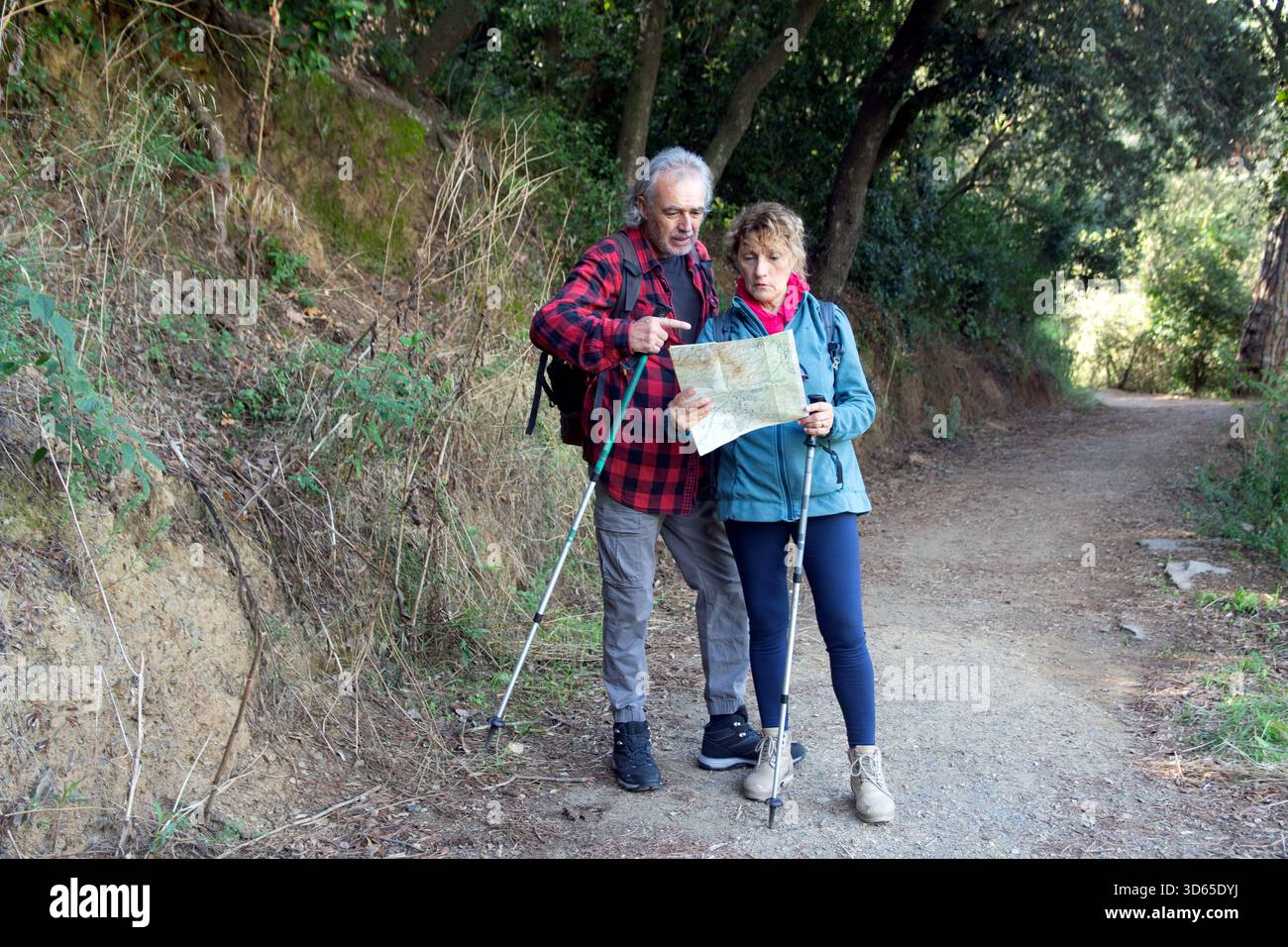 Seniorenpaar, das während der Wanderung eine Route sucht und die Karte überprüft Stockfoto