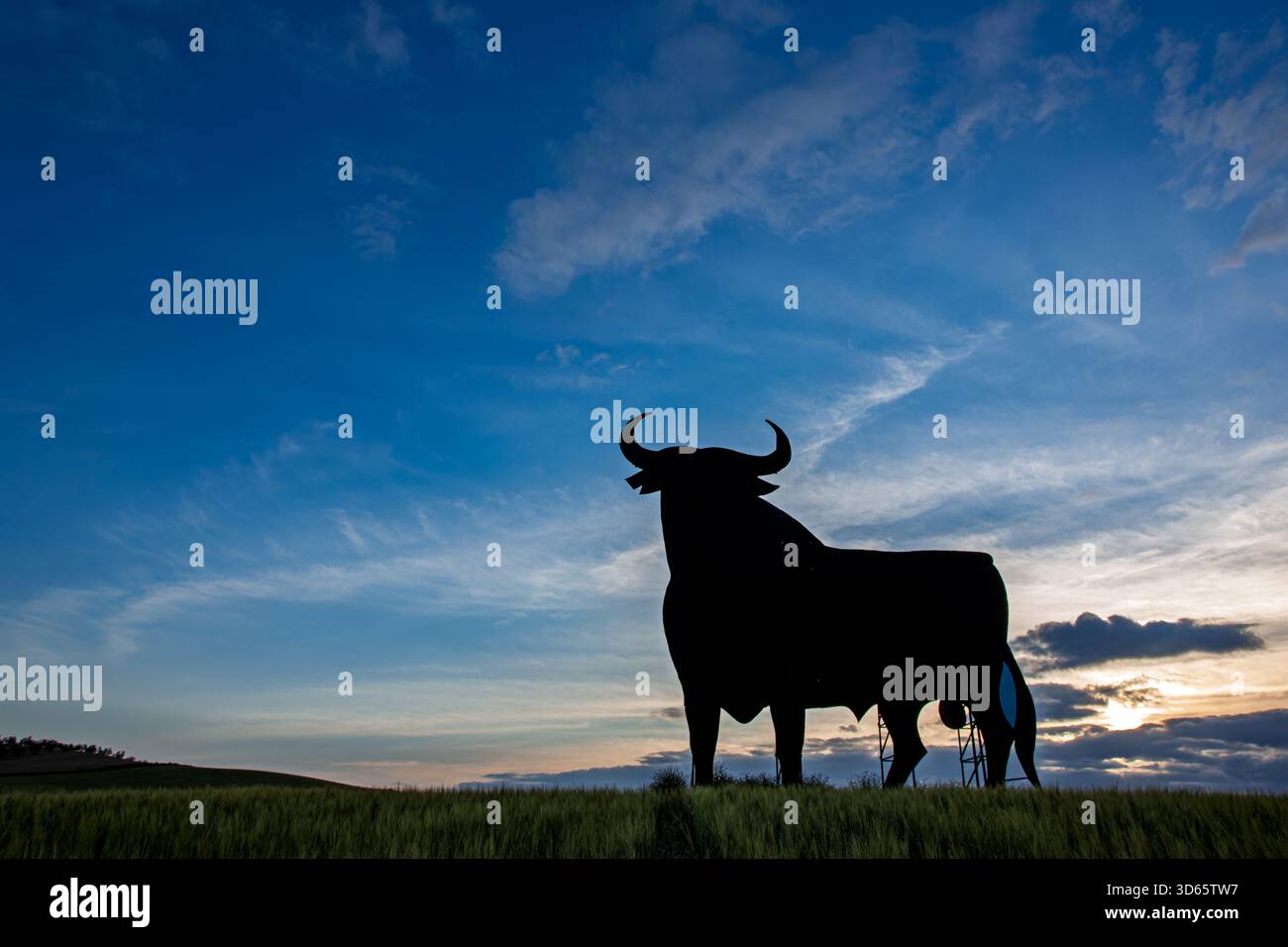 Eine auffällige Silhouette des Osborne-Stiers steht vor dem farbenfrohen Abendhimmel in Aljarafe, Sevilla, und zeigt die Schönheit Andalusiens. Stockfoto